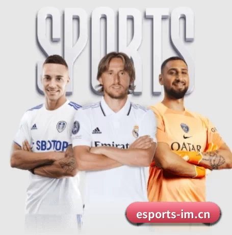 IM电竞的方向